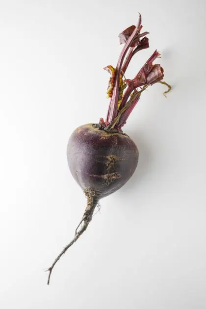 Fresh beetroot, source of dietary nitrates standardized to 50 percent betaine nitrate in Flush Factor Plus