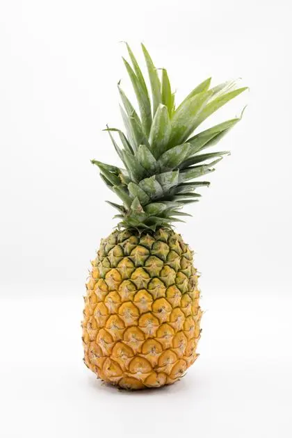 Fresh pineapple, the source of the bromelain enzymes in the Flush Factor Plus blend