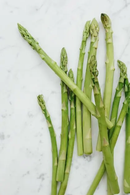 Fresh asparagus spears, botanical relative of Asparagus racemosus or shatavari used in Flush Factor Plus
